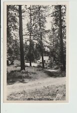 POSTCARD RPPC LOWER TWIN LAKES CABIN IN THE TREES picture