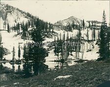 1919 Big Cottonwood Canyon Utah Original News Service Photo picture