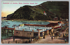 Aquarium Avalon Catalina Island Boats People Postcard California CA c. 1907-1915 picture