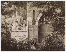 Italy, Lake Como, garden of Villa Melzi, photo. Vintage Stoppani Albumen P picture