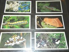  CIGARETTE CARDS. Grandee Tobacco.(Cigars).WAYSIDE WILDLIFE Complete Set 30  UK picture