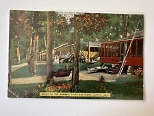 Hardy AR Built In The Forest, Camp Rio Vista Antique, Vintage Postcard (1C) picture