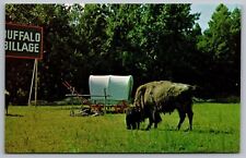 South Of Border Dillon South Carolina Buffalo Bilage Chrome UNP Postcard picture