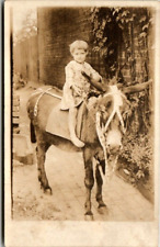Young Girl on Donkey Postcard Antique RPPC AZO Triangles Unposted picture