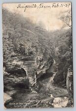 Postcard LA SALLE ILLINOIS Scene at Deer Park (now Mathiessen SP) Wooded canyon picture