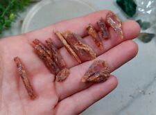14g Lot Raw Gemmy Orange KYANITE Crystal  - Raw Rocks and Minerals Ea2 picture