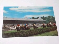 Stretch Run At The Saratoga Race Track New York Horse Racing Vintage Postcard picture