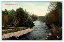 Scenic View Of Gaspereau River Trees Nova Scotia N.S. Canada Vintage Postcard picture
