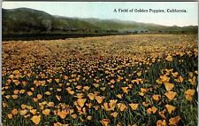 A Field Of Golden Poppies In California Vintage Souvenir Postcard picture