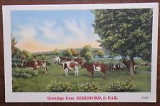 Country Scene w/ Cows Greetings From Beresford, South Dakota Landscape Postcard picture