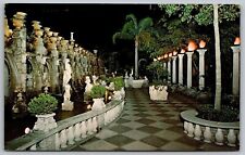 Night Scene North Garden Clearwater Florida Vintage Unposted Postcard picture