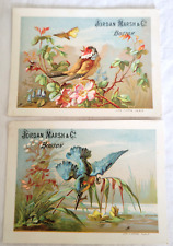 2 Antique Victorian JORDAN MARSH, Boston Trade Cards Pretty Birds Litho 3x4