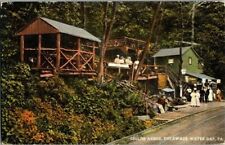 1910. DELAWARE WATER GAP, PA. CHILDS ARBOR. POSTCARD QQ8 picture