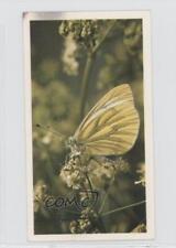 1983 Doncella British Butterflies Tobacco Green-Veined White #27 1i3 picture
