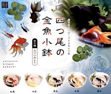 Four-tailed goldfish small bowl 5 types gacha gasha complete capsule Japan 519Y picture