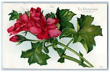 Language Of Flowers Romance Postcard Ivy Geranium Bridal Favor Aurora OR 1911 picture