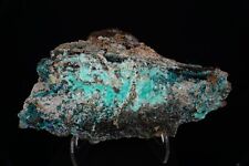 Aurichalcite & Rosasite / Massive 15.6cm Mineral Specimen / Hidden Treasure Mine picture