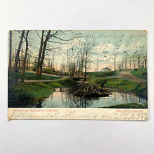 Postcard Pennsylvania Philadelphia PA Zooligical Gardens Beaver Dam 1906 Posted picture
