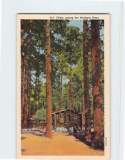 Postcard Cabin among the Northern Pines picture