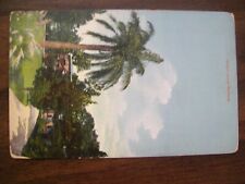 Vintage Postcard- Grugru Palms Bermuda Dated January 12, 1912 - (549) picture