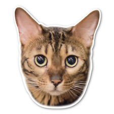 Bengal Cat Magnet picture