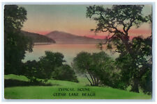 c1905 Typical Scene Clear Lake Beach California CA Antique Posted Postcard picture