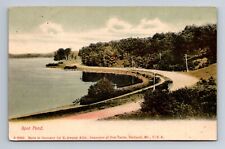 Middlesex Fells Spot Pond Road to Stoneham Mass Postcard picture