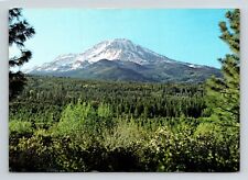 Mt Shasta Calif Eastmans Studio Susanville California Ca Postcard Unp picture