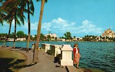 Postcard FL West Palm Beach Lake Front Drive 1955 Chrome Vintage PC G4328 picture