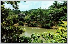 Monoloro Animal Park - Carolina Puerto Rico - Tropical Foliage - Postcard picture