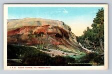 Yellowstone National Park, Pulpit Terrace, Antique, Vintage Souvenir Postcard picture