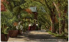 Postcard - A Shady Lane, Elitch's Gardens, Denver, Colorado - Early 1900s (M3c) picture