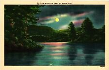 Vintage Postcard- Moonlight on a lake UnPost 1930s picture