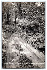 c1940's Virgin Forest Drive Dirt Rock Trees Grand Marais MI RPPC Photo Postcard picture