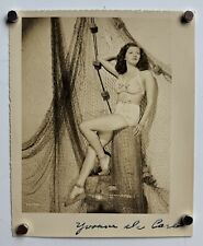 YVONNE DE CARLO Original Vintage c1940s Sepia 5.25x4.25” Photograph~Lily Munster picture