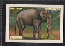 ASIATIC ELEPHANT - Large 95 + year old English Tobacco Card # 3 picture