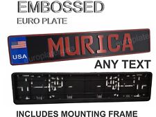 USA, AMERICA, European License Plate - ANY TEXT, EMBOSSED - RED ON BLACK picture