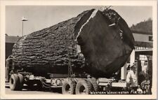 c1940s Washington Real Photo RPPC Postcard Fir Log / Logging Truck / ELLIS 189 picture