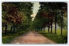 1914 Road Scene Near The Flagler House Dirt Road South Fallsburg NY Postcard picture