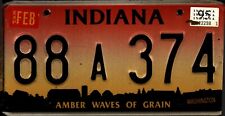 Vintage Indiana License Plate -  - Single Plate 1995 crafts Birthday Gift picture
