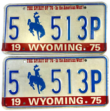 Wyoming 1975 License Plate Vintage Auto Set Albany Co Cave Collector Decor picture