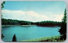 Ward Lake Grand Mesa Flat Topped Mountain Western Colorado Co Postcard picture