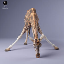 Breyer size artist resin companion animal figurine Rothschild's Giraffe drinking picture