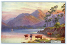 c1910 Derwentwater, Friar's Crag & Cawsey Pikes Oilette Tuck Art Postcard picture