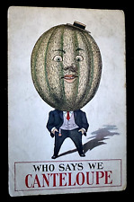 Unusual~Canteloupe Melon Man~Can't Elope~Anthropomorphic Greetings Postcard~g932 picture