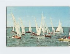 Postcard 505's Sailboats Indian Rver Florida USA picture