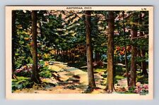 Amsterdam OH-Ohio, Scenic View Of Forest Area, Antique, Vintage Postcard picture