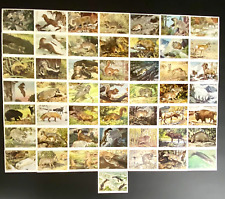 Original Vint. Set 1-50  National Audubon Society Collectible Mammal Cards w/box picture
