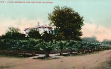 Postcard CA Red Bluff California Typical Residence View Unused Vintage PC e9001 picture