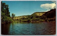 Yampa River Steamboat Springs Craig Colorado Riverfront Forest Cliffs Postcard picture